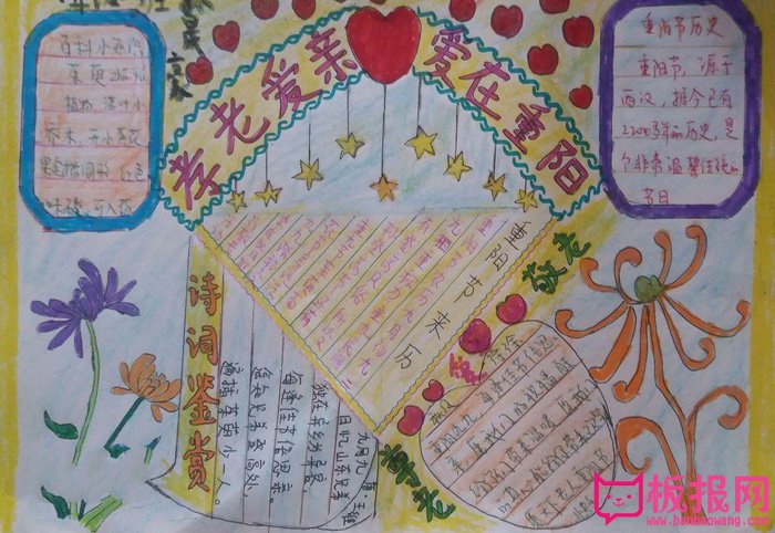 重阳节手抄报图片大全，爱在重阳