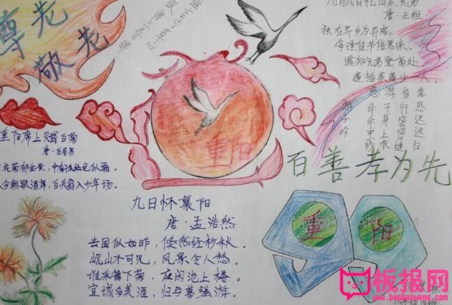 小学生重阳节手抄报图片大全，百善孝为先（6张）