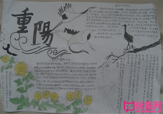 关于重阳节的手抄报，九九重阳