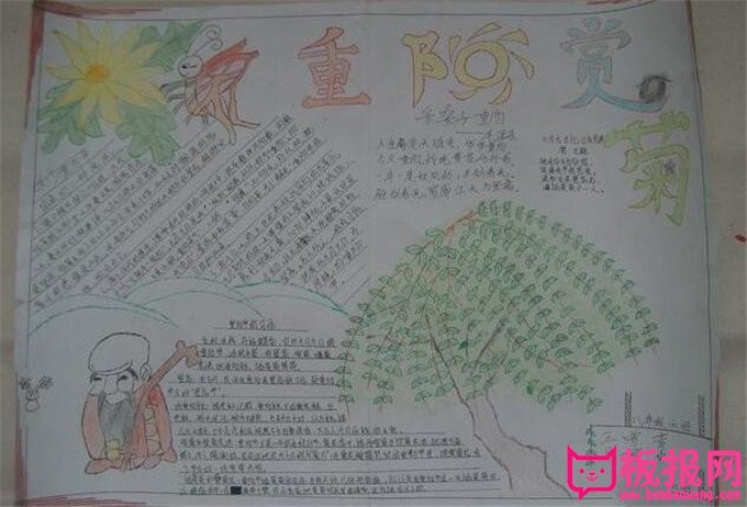 关于重阳节的手抄报，九九重阳