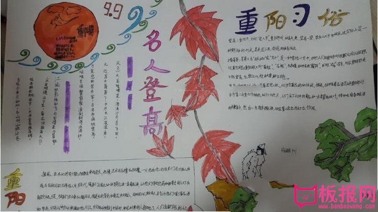 关于九九重阳节的手抄报，九九登高话重阳