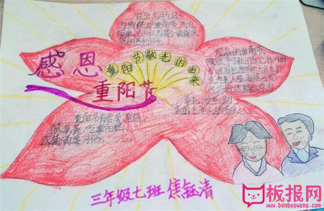 感恩重阳节手抄报图片大全，最美不过夕阳红（六张）