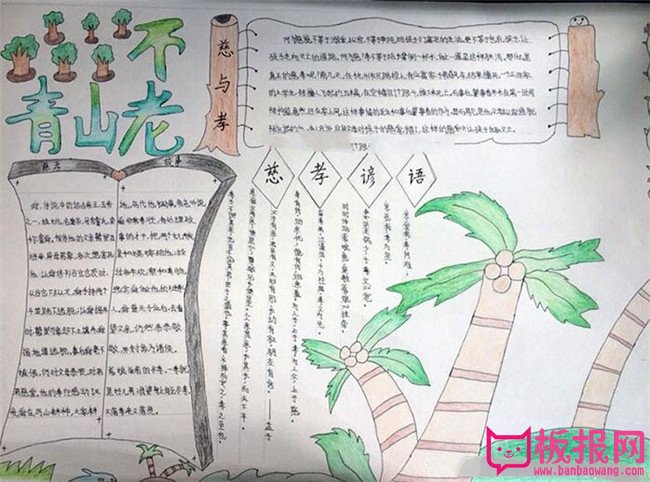 感恩重阳节手抄报图片大全，最美不过夕阳红（六张）