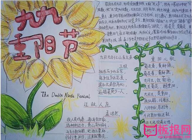 九九重阳节手抄报，岁岁重阳今又重阳