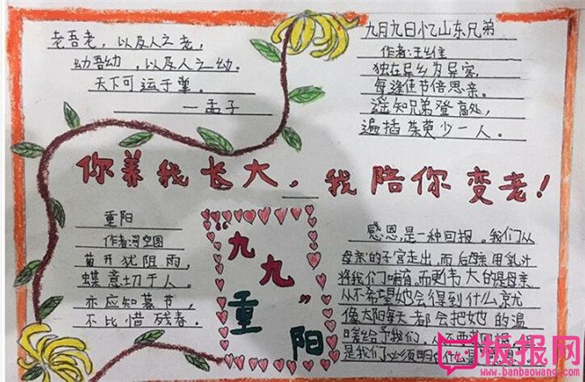 喜迎九九重阳节手抄报，你迎我长大我陪你变老
