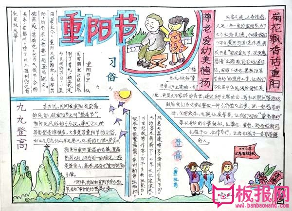 重阳节习俗手抄报，菊花飘香话重阳