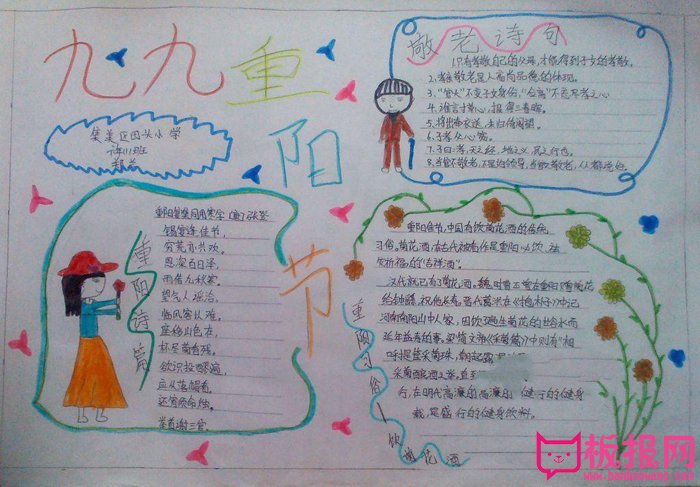 九九重阳节手抄报图片，共饮菊花酒