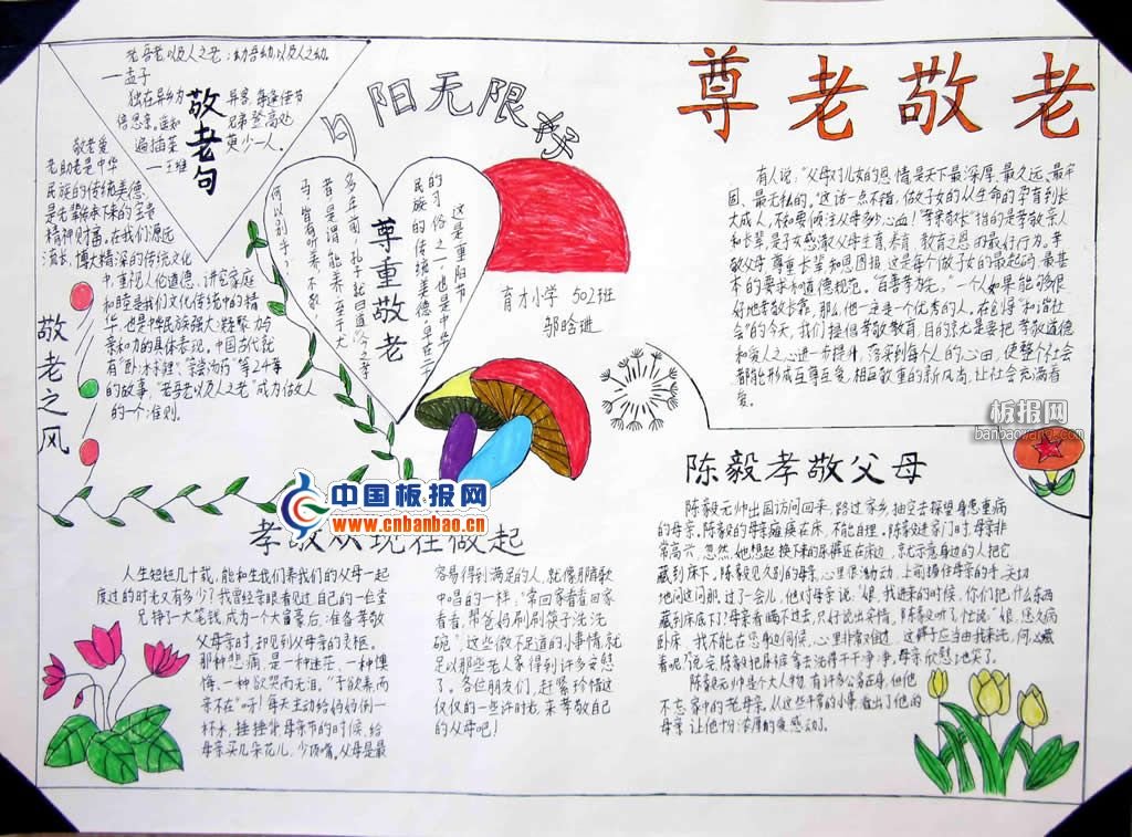 小学生重阳节手抄报