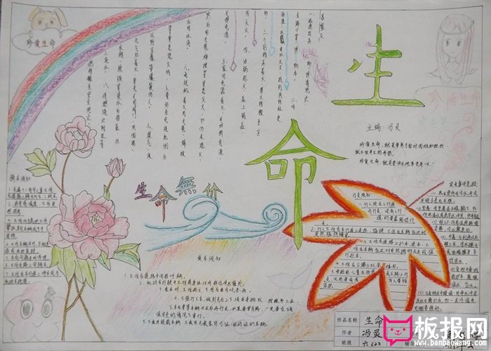 小学生安全教育手抄报，生命