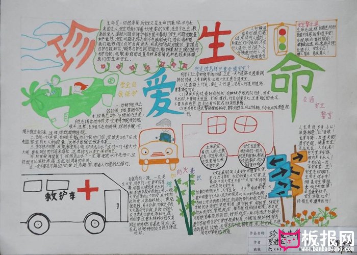 小学生安全教育手抄报，珍爱生命