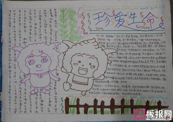 安全教育手抄报，珍爱生命
