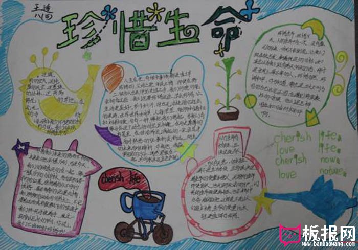 安全伴我行手抄报，珍惜生命