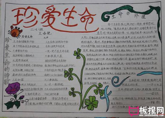 安全在我心中手抄报，生命的价值