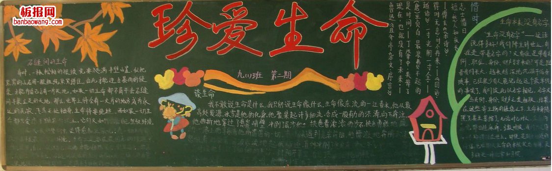 珍爱生命，健康成长黑板报