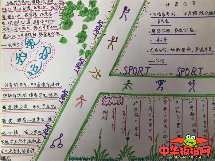 体育手抄报简单又好画，阳光体育绿色童年