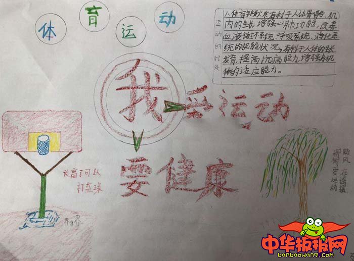 体育运动手抄报的图片，我爱运动要健康