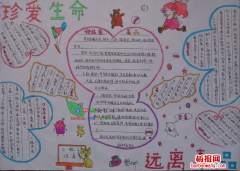 关于珍爱生命手抄报