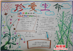 珍爱生命，安全第一手抄