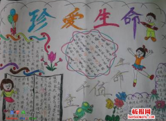 生命无价的手抄报