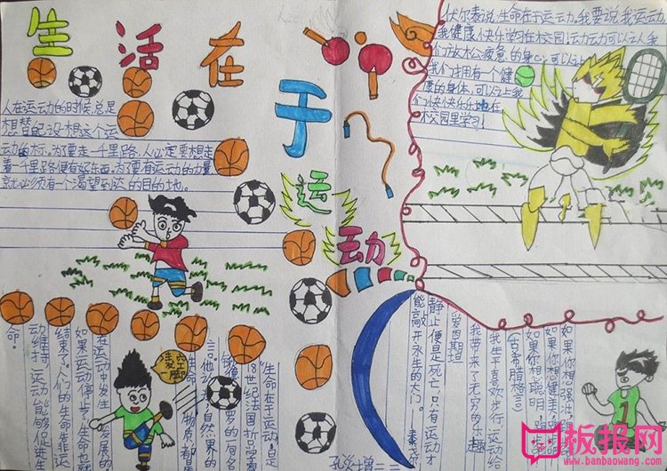 体育手抄报内容，生活在于运动