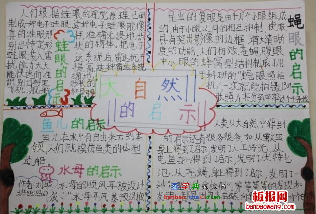 大自然的启示手抄报