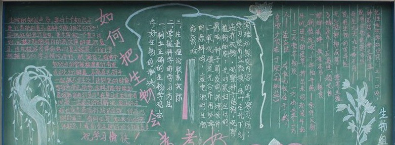 生物黑板报，神奇的生命生物
