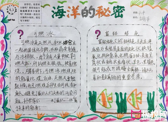 生物手抄报，海洋的可燃冰