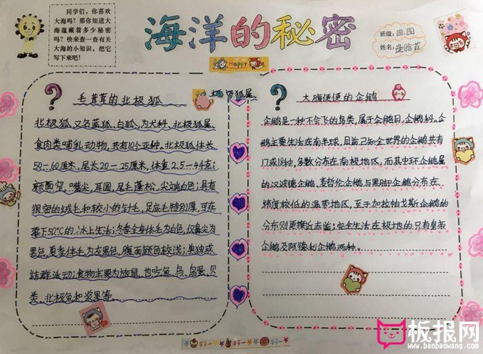 生物手抄报，毛茸茸的北极狐