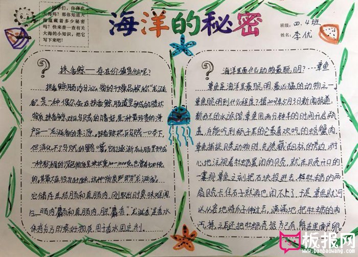 生物手抄报，海洋里的动物