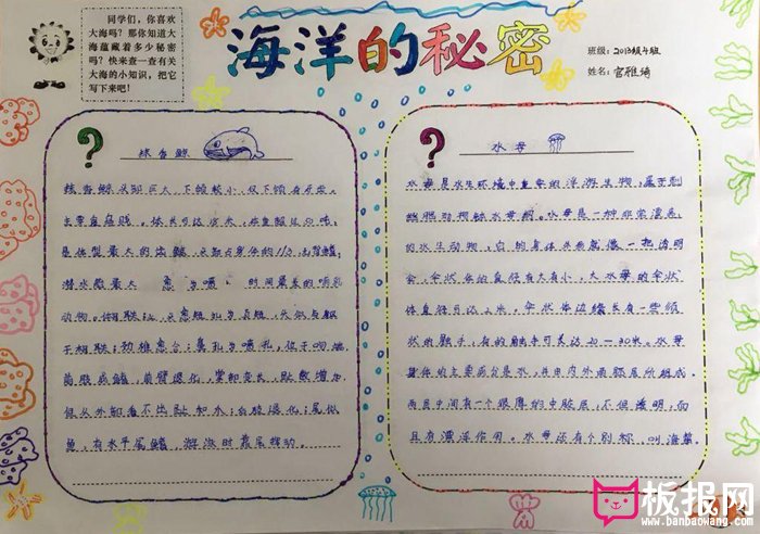 生物手抄报，美丽的水母