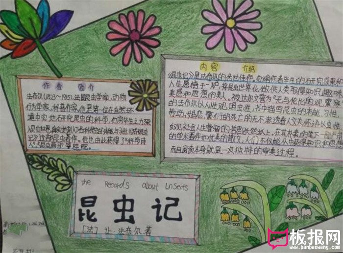 昆虫记，生物手抄报