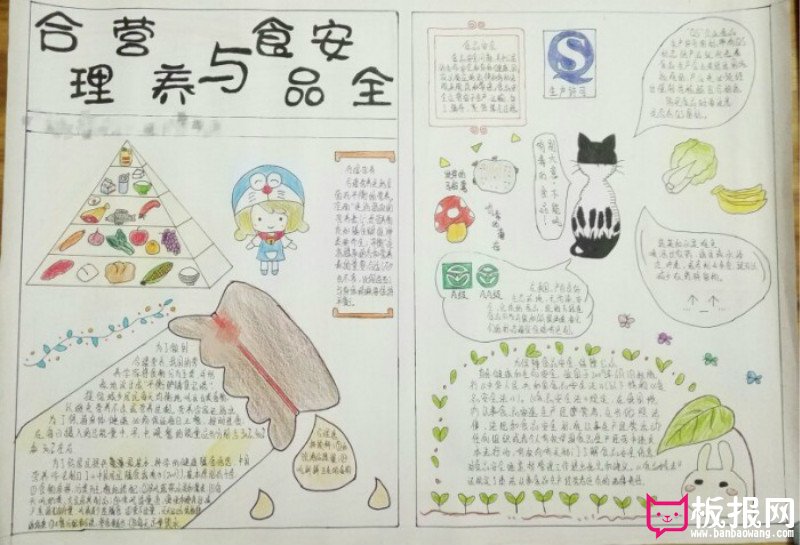 合理营养与食品安全，生物手抄报