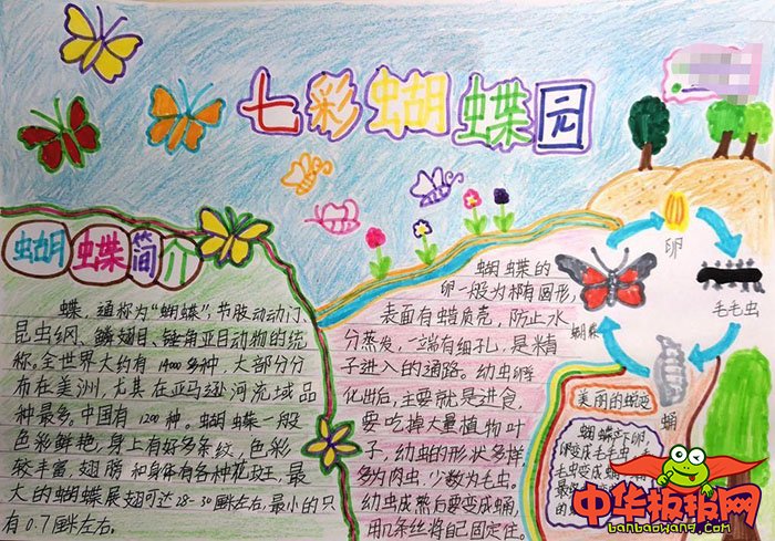 生物手抄报简单又好看，七彩蝴蝶园