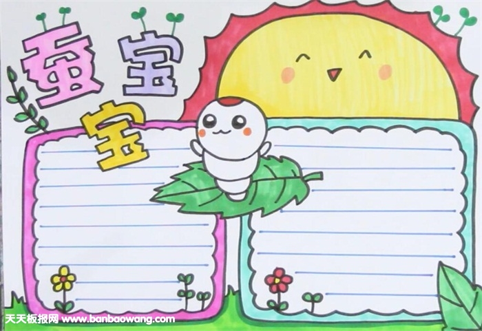 蚕宝宝手抄报