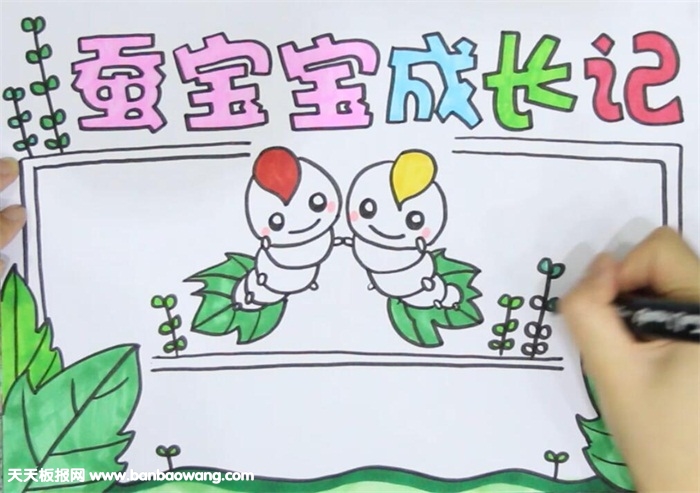 蚕宝宝的生长过程手抄报