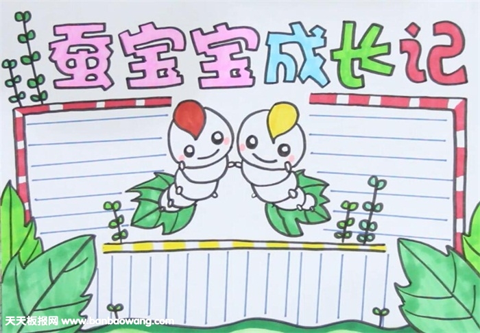 蚕宝宝的生长过程手抄报