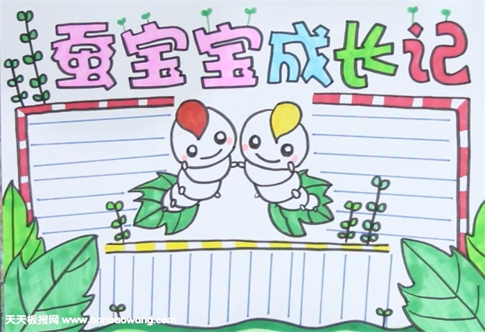 蚕宝宝的生长过程手抄报