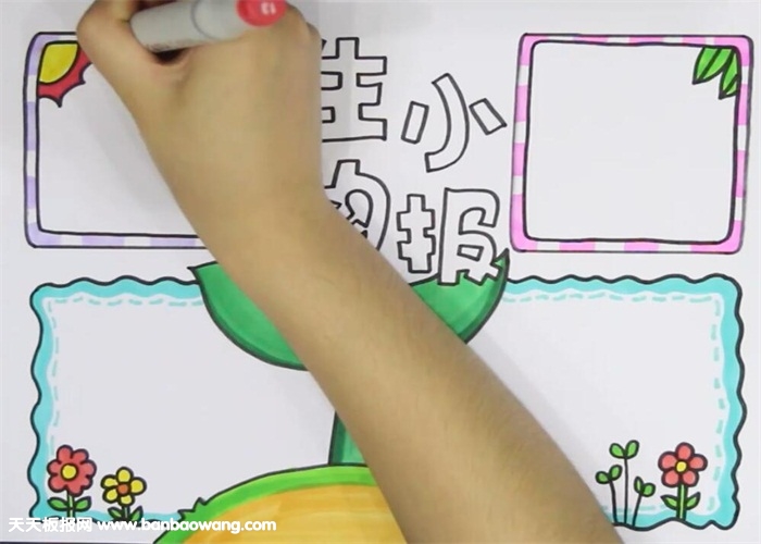 生物手抄报