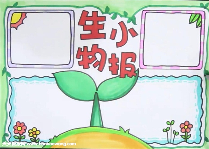 生物手抄报