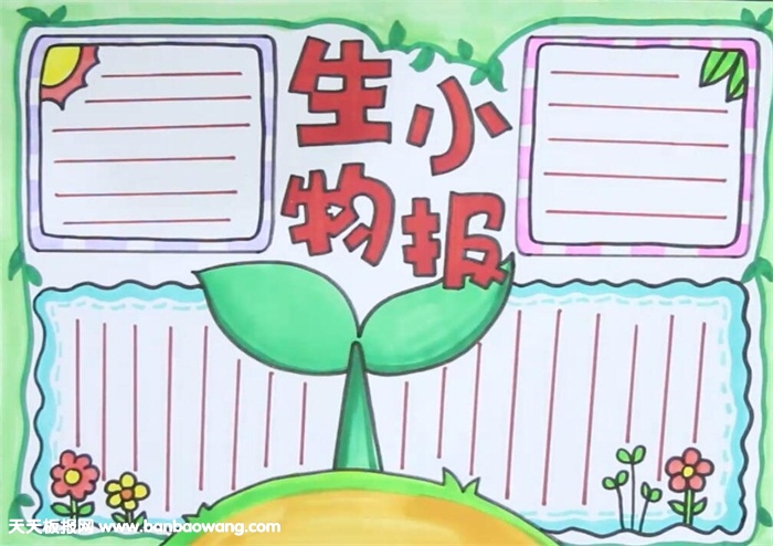 生物手抄报