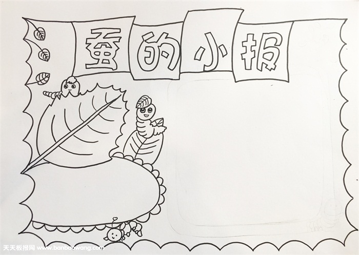 蚕的小报怎么画