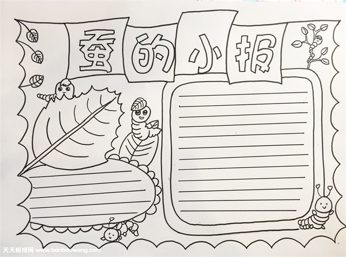 蚕的小报怎么画