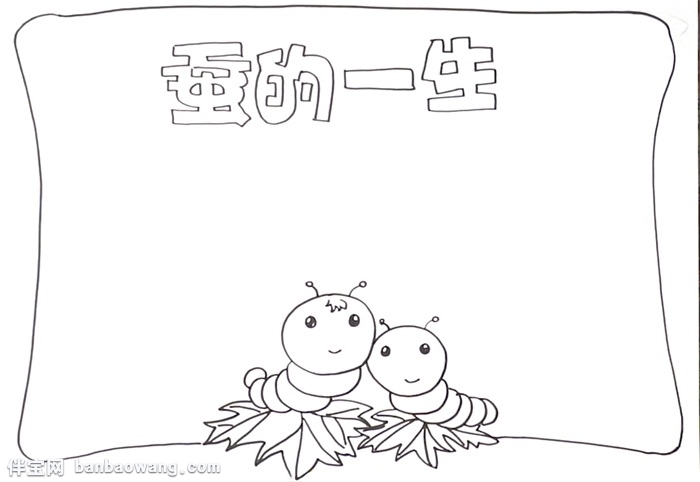蚕的一生手抄报怎么画