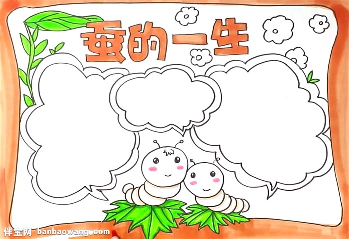 蚕的一生手抄报怎么画