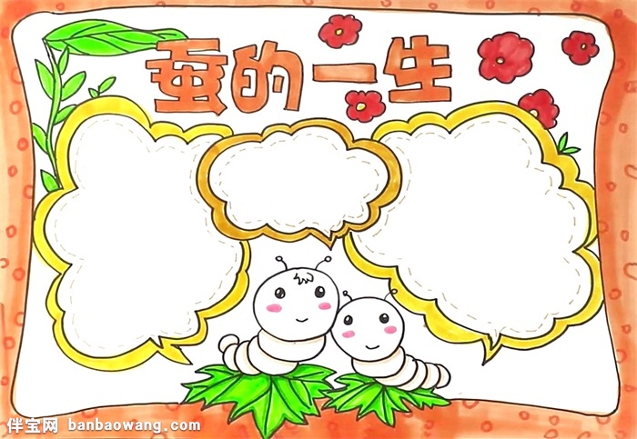 蚕的一生手抄报怎么画