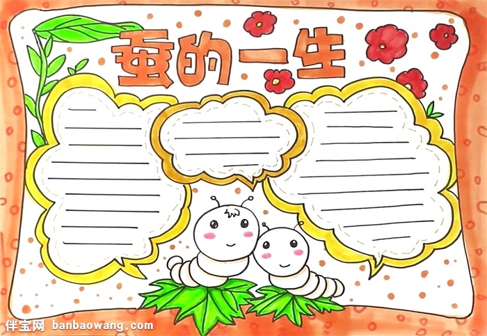 蚕的一生手抄报怎么画