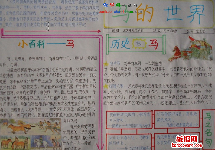 关于马的手抄报