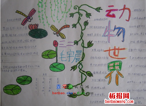 国际生物多样性日手抄报