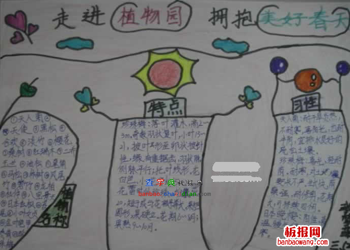 三年级植物园手抄报