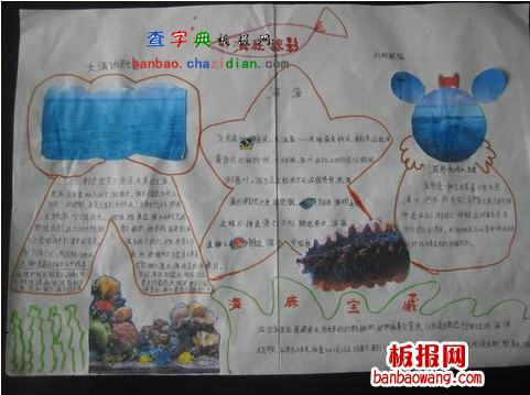 仿生学手抄报